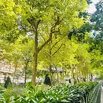 Quartier Tour-Eiffel Haussmann Art Lovers Dream 1894